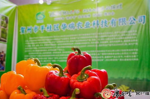 桂字號(hào)農(nóng)業(yè)品牌西安推介會(huì) 廣西初級(jí)農(nóng)產(chǎn)品閃耀古城