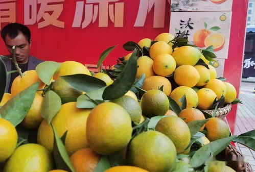 冷水灘 品味天然之味，開(kāi)啟農(nóng)產(chǎn)品“買買買”之旅