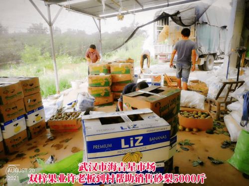 線上線下齊發(fā)力，石橋驛鎮(zhèn)為滯銷農(nóng)產(chǎn)品打開新銷路