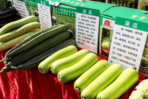 秋分時(shí)節(jié)慶豐收，佛山人的田園歡歌